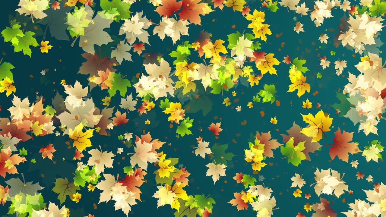 Seamless animation of yellow falling maple leaves on dark blue seasonal autumn background. Dry leaves spinning. Looped motion graphics.