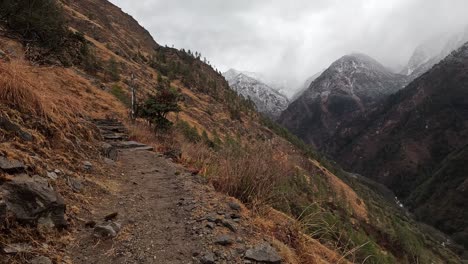 Hikers-view,-on-the-Lower-Langtang-Valley-Trek-Featuring-Forest-and-Snowy-Mountain-Slopes-in-Nepal