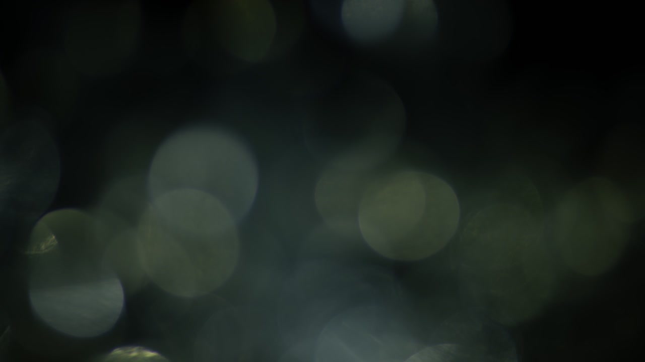 la luz multicolor filtra imágenes de 4k en fondo negro, estilizando el video, las transiciones, el efecto bokeh.