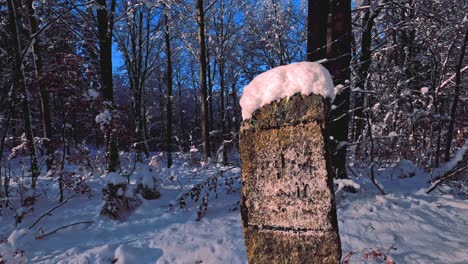 close-up panning shot of a small stone obelisk that is standing alone in a snowy forest with a snow hat, the text on it is unreadable