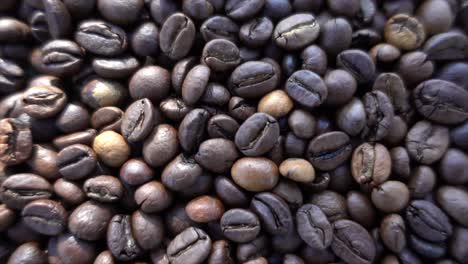 close up of seeds of coffee 03