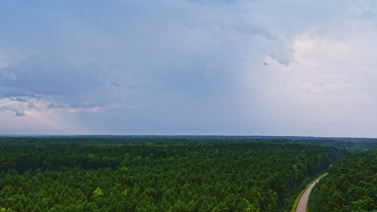 Aerial view of vast green forest under dramatic cloudy sky landscape