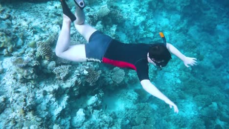 snorkeler coral reef in the maldives