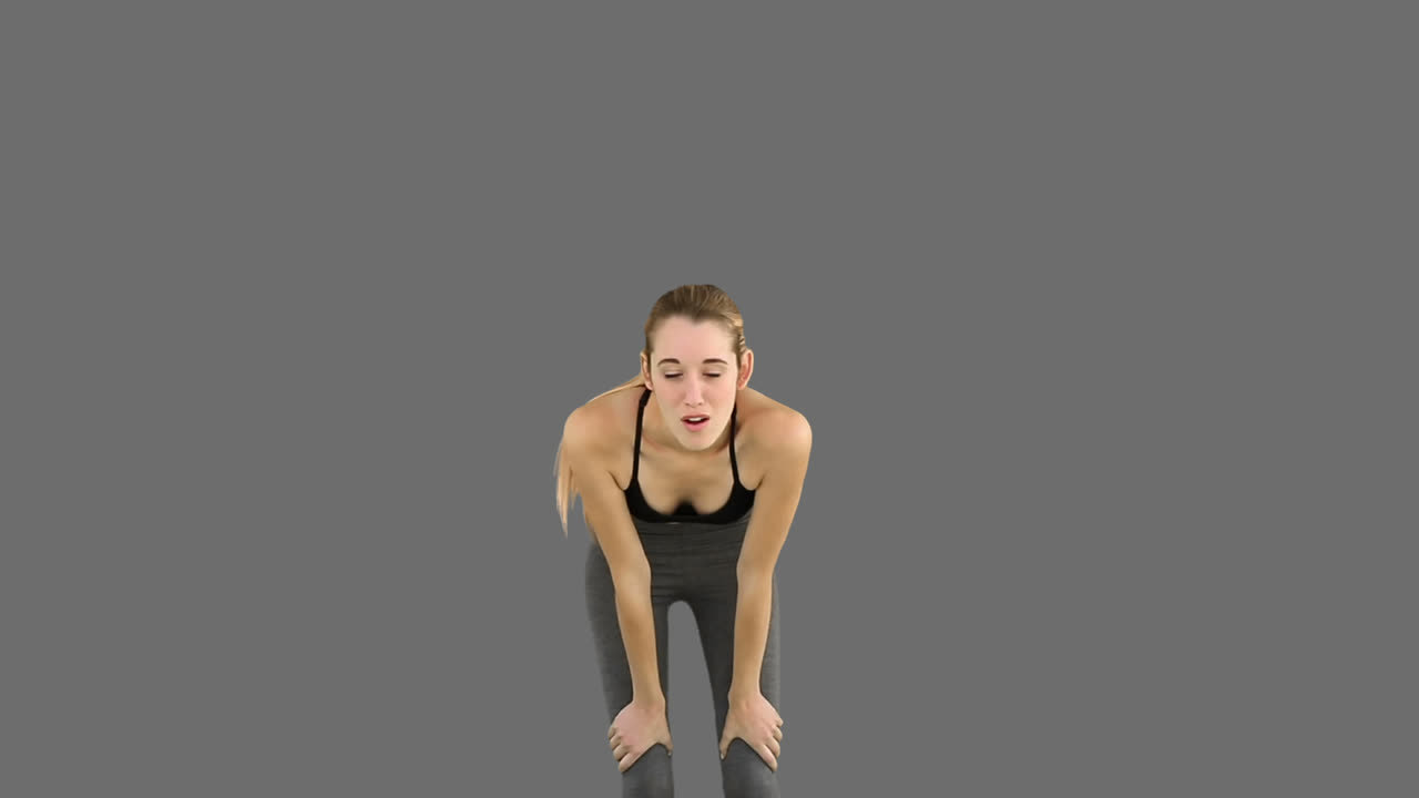 피트 모델 조 ⁇