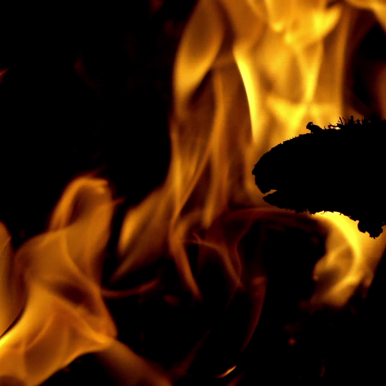 Burning Wood in Slow Motion. Bonfire. The fire is lit in the night