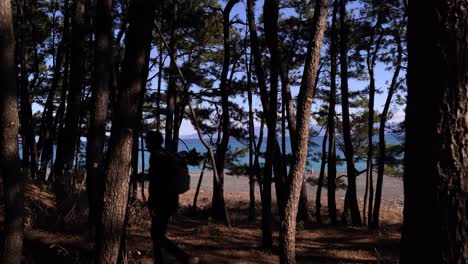 Schöne-Männliche-Silhouette,-Die-Durch-Einen-Kiefernwald-Mit-Blauem-Ozean-Im-Hintergrund-Geht