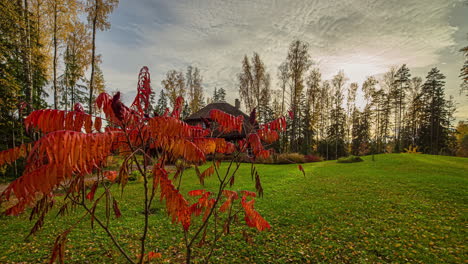 timelapse shot of a wooden cottage by the side of a lake in an autumn morning