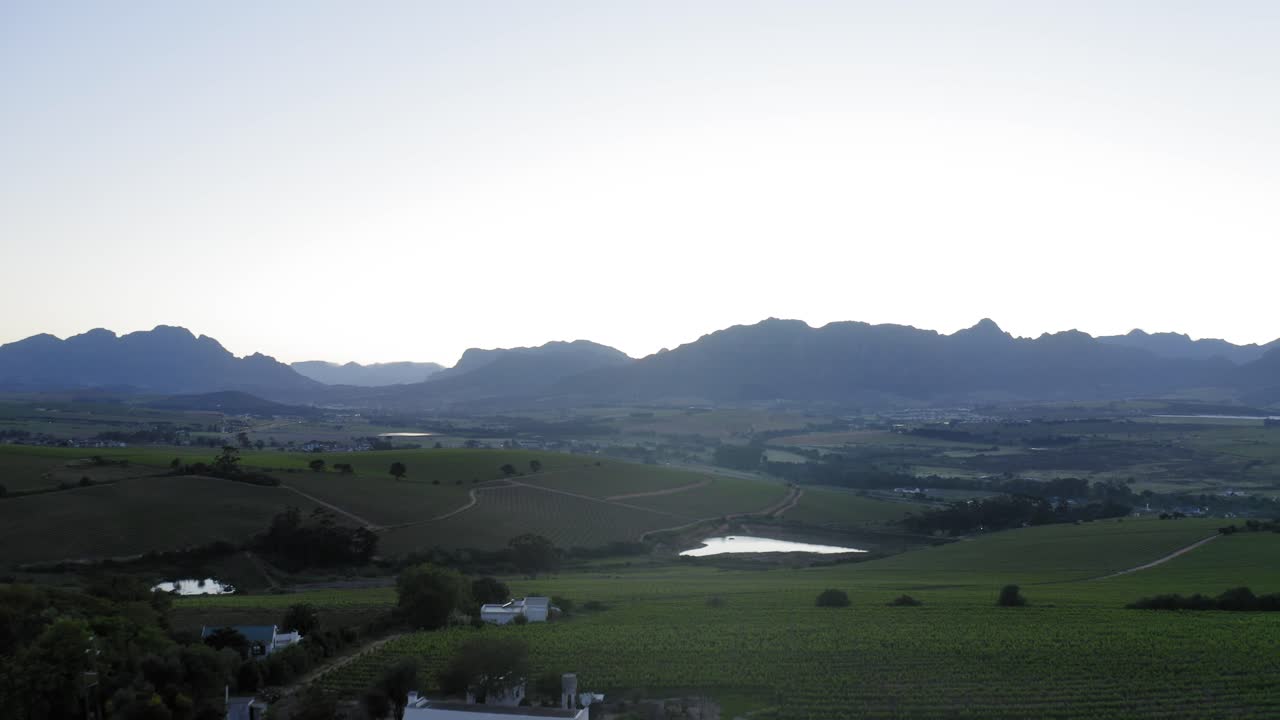 Drone aerial over luscious green grape vineyards and vines sunrise, with farmhouse, blue mountains and dam ponds in background, Stellenbosch