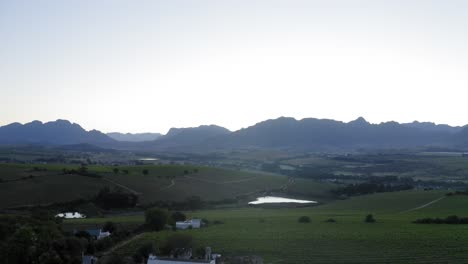 drone aerial over luscious green grape vineyards and vines sunrise, with farmhouse, blue mountains and dam ponds in background, stellenbosch