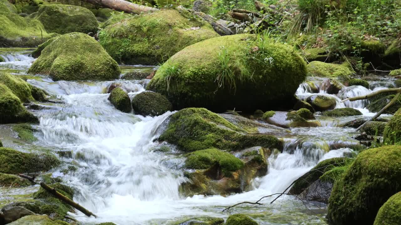 Beautiful Stream in the Black Forest Flowing Admidst Moss Covered Rocks at the Geroldsauer Waterfall near Baden-Baden, Germany