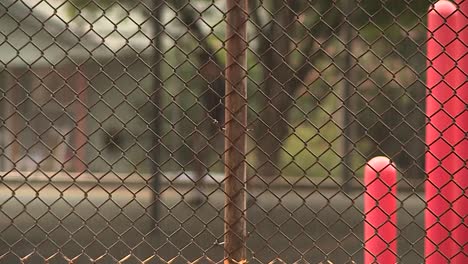 playing basketball alone in the rain