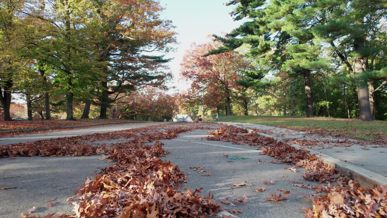숲길에서 낮게 날아다니는 드론을 피하기 위해 도망치는 것