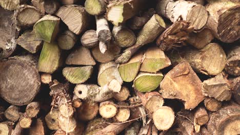 Stacked-natural-cut-wood-logs