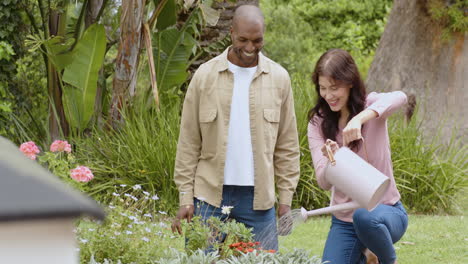 diverse multiracial couple enjoying gardening together, watering plants in lush backyard