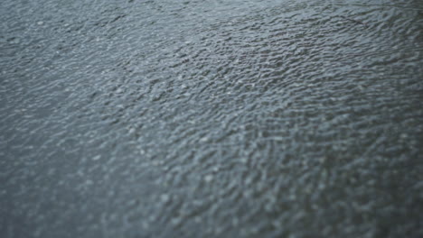 rain on the street
