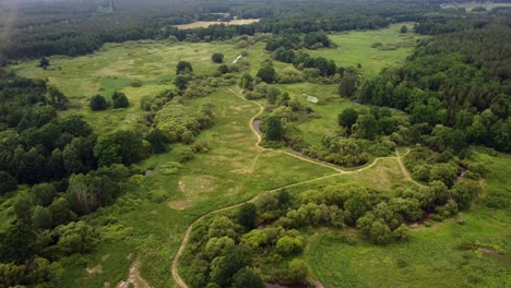 A-meandering-river-through-a-healthy-biodiverse-landscape