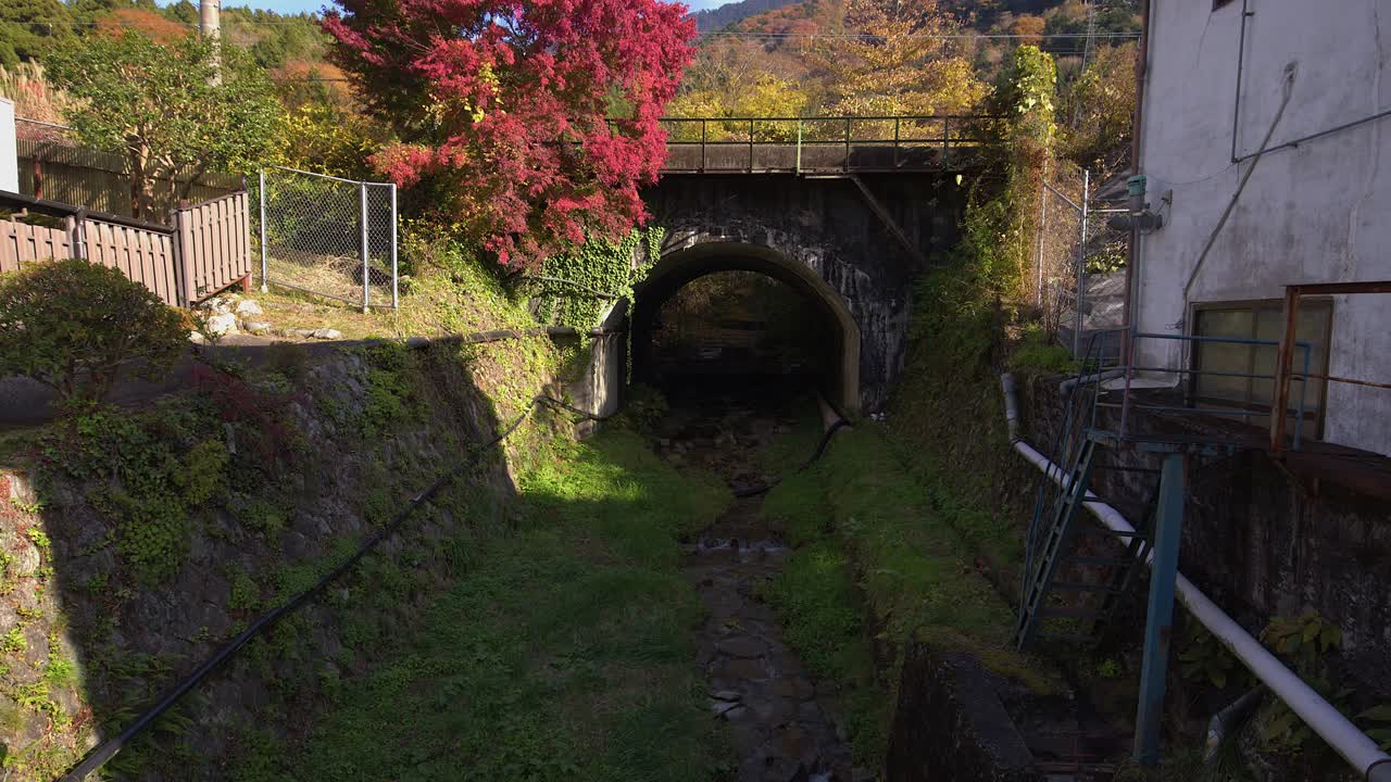 Ljust höstlöverk vid en fridfull järnvägsbro i betongvalv, Japan