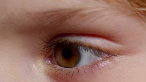 Human-brown-eye-iris-opening-pupil,-eyeball-of-child-looking-intro-distance-close-up-macro-shot