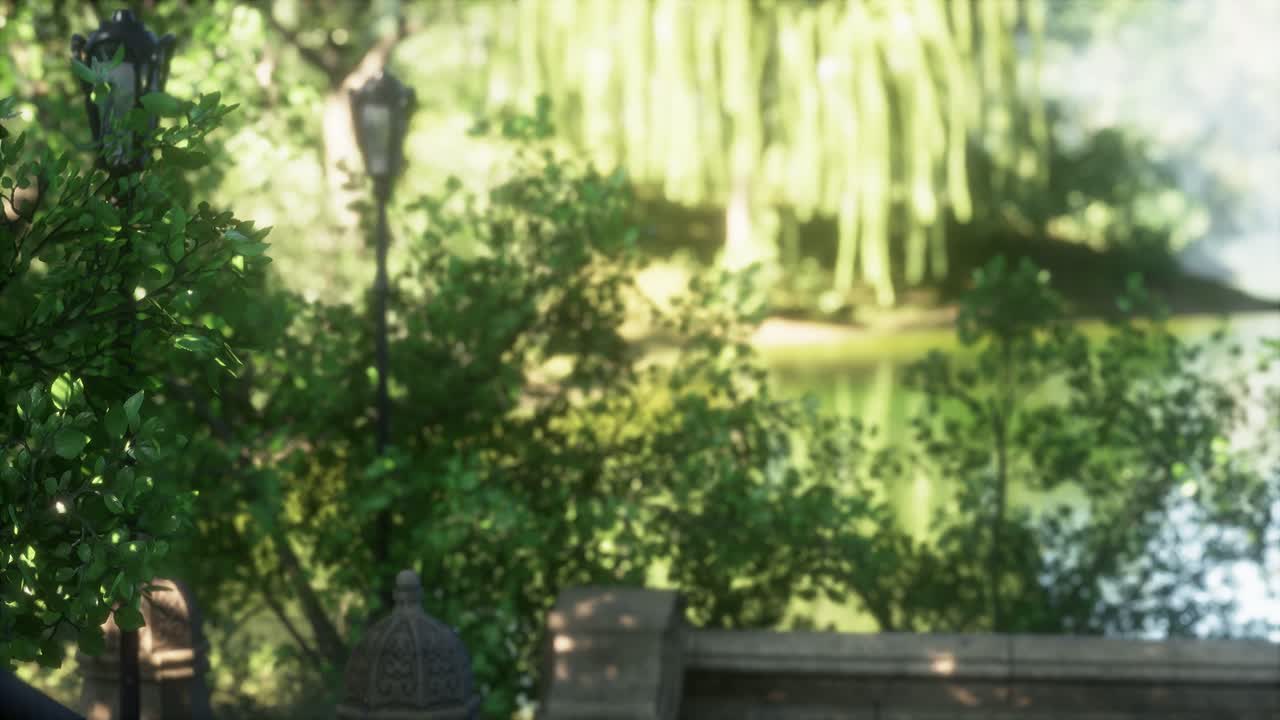 도시 에 있는 평화로운 공원