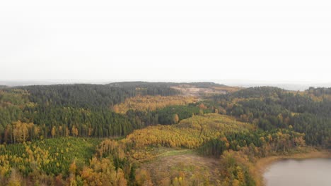 Aerial-view-of-big-autumn-coloured-forest-by-lake