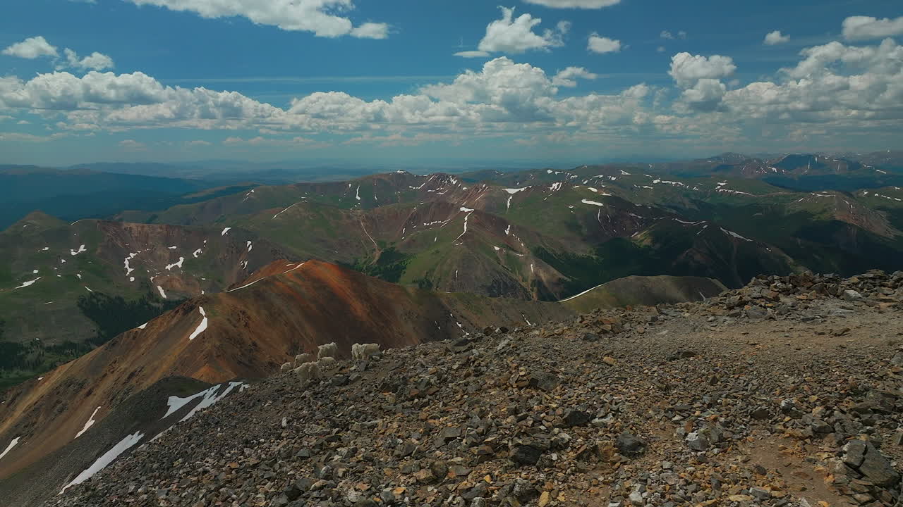 drones cinematográficos aéreos cabras de montaña cima de grises y torreys 14er pico de la montaña rocosa colorado de grupo familia y hábitat natural día soleado de verano dando vueltas a la izquierda lentamente ancho
