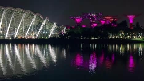 light and musical show in garden rhapsody of singapore. fast motion. seamless loop