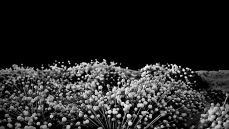 abstract growth structures.