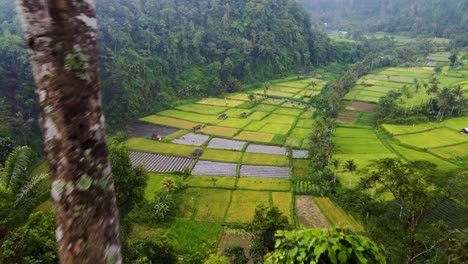 lereng agung hill swing overlooking green valley farmlands of paddy fields and crops strips near karangasem, bali indonesia