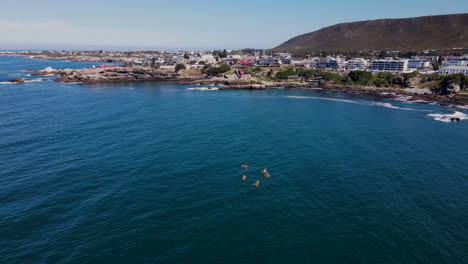 high angle dolly over kayakers paddling towards coastline - leisure activity