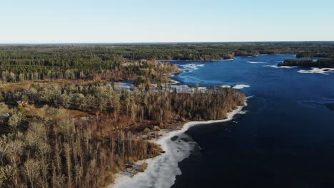Aerial of a beautiful shoreline of frozen lake at the edge of a vast forest in rural Sweden on a sunny winter day