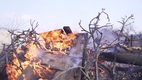 burning garbage, branches, trees in a landfill. fire and smoke from a campfire. old wooden doors on fire