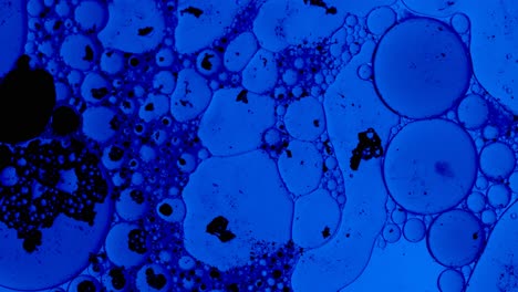 fondo abstracto azul con gotas de aceite y manchas de tinta negra flotando en un líquido como bacterias