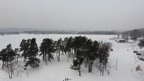 Volando-Sobre-Una-Pequeña-Isla-Laguna-Con-Coníferas-En-La-Temporada-De-Invierno