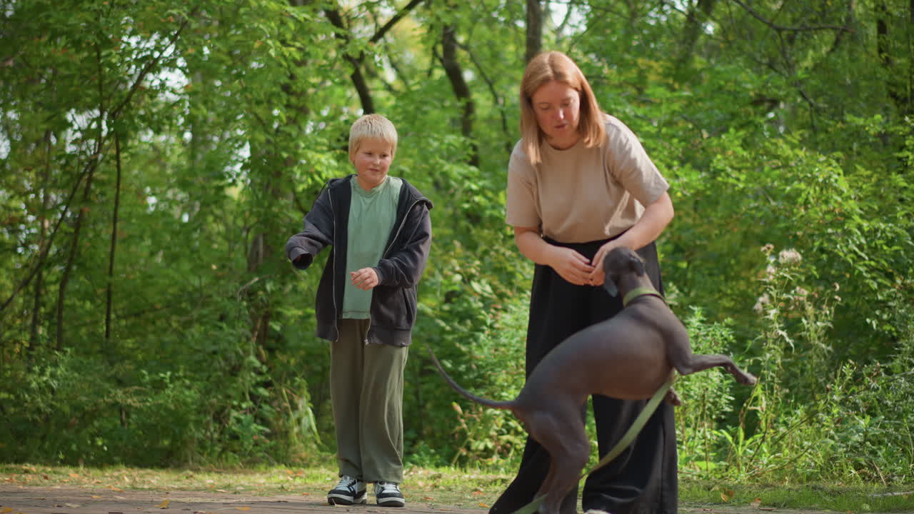 Child Practices Commands Under Watchful Eye, Young Boy Trains Pet With Gentle Guidance Near Trees, Individual Teaches Canine Obedience With Caretaker Overseeing Progress On Leafy Pathway