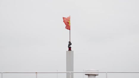 crow bird under the vietnamese flag waving with the wind