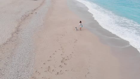 woman walking with her dog on the beach in the morning, aerial drone view