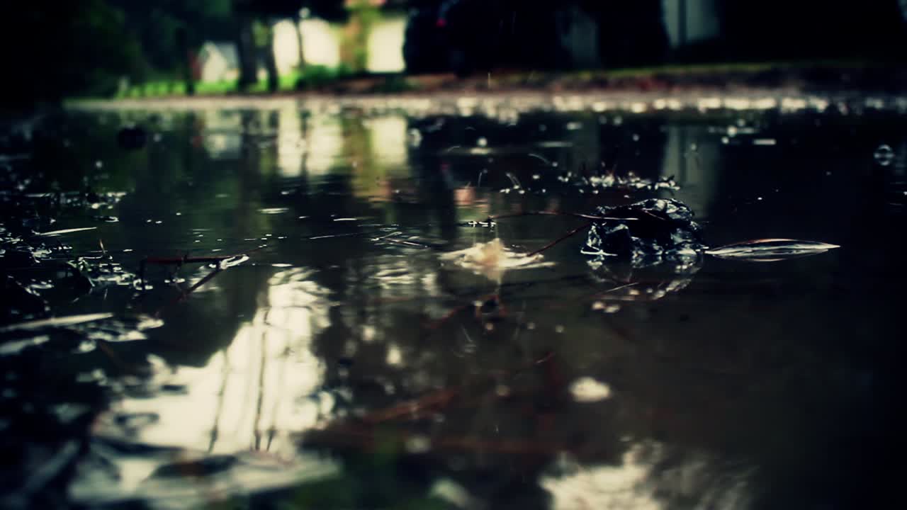 Raindrops Create Ripples in a Puddle on the Ground
