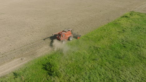 Aerial-establishing-view-of-combine-harvester-mowing-yellow-wheat,-dust-clouds-rise-behind-the-machine,-food-industry,-yellow-reap-grain-crops,-sunny-summer-day,-drone-shot-moving-forward,-tilt-down