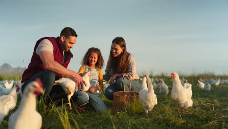 chicken, farm and family love of happy mom