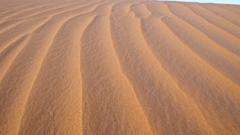 close-up of sand dune ripples