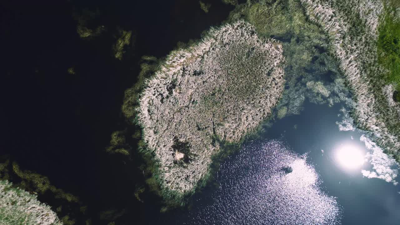 드론은 여름 잔디 잔디 잔디 잔디 잔디 잔디 잔디 잔디 잔디 잔디