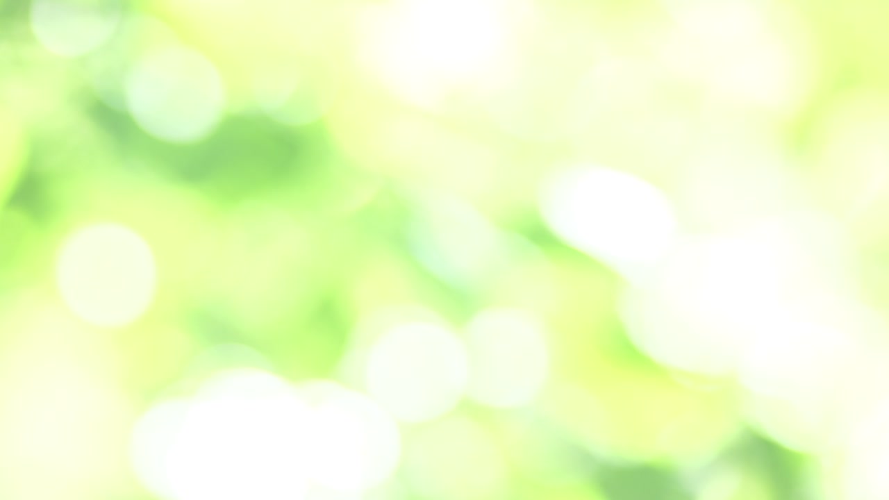 Wunderschöne verschwommene Blättertextur