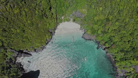 drone ascends while revealing a tropical lagoon and dense jungle landscape in phi phi islands, thailand. smooth elevation captures the vibrant scenery under a sunny sky.