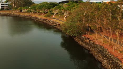 peaceful sunrise along tree lined bank of canal