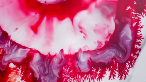 colorful alcohol ink blooming in water, forming abstract red and purple textures