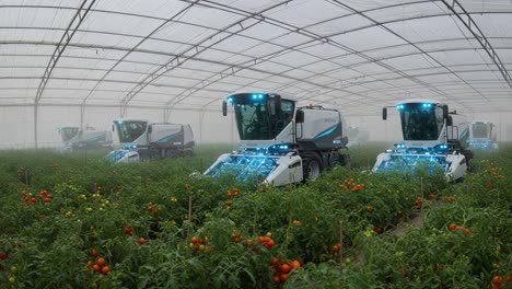 futuristic automated harvesters working harmoniously in a high-tech greenhouse, efficiently collecting ripe tomatoes under controlled environmental conditions