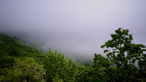 drone flight disappearing into mountain mist