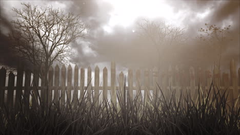 mystical halloween background with dark forest and fog 4