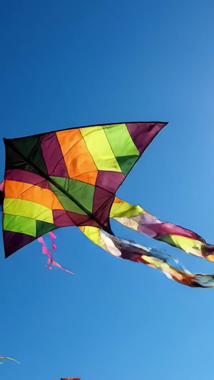 Un'affascinante esposizione di aquiloni colorati che danzano nel cielo azzurro e luminoso: una celebrazione di libertà e gioia nell'aria