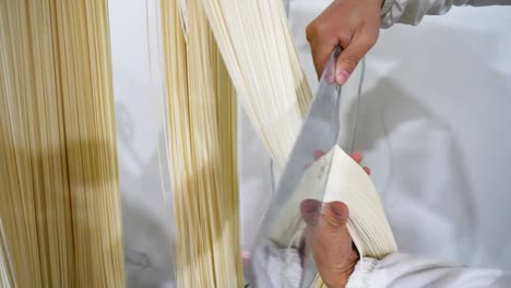 a worker in a chongqing noodle factory skillfully cuts fresh, handmade noodles, the precision and craftsmanship of traditional noodle-making. captures the delicate strands in motion. china.